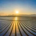 Everything You Need to Know About Ground-Mounted Solar Systems